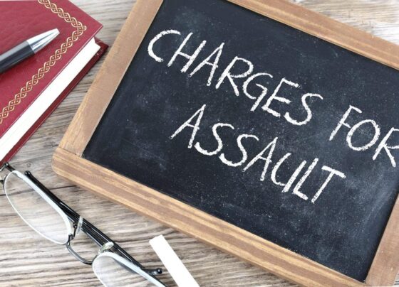 Assault Lawyer: 7 Important Facts You Must Know About