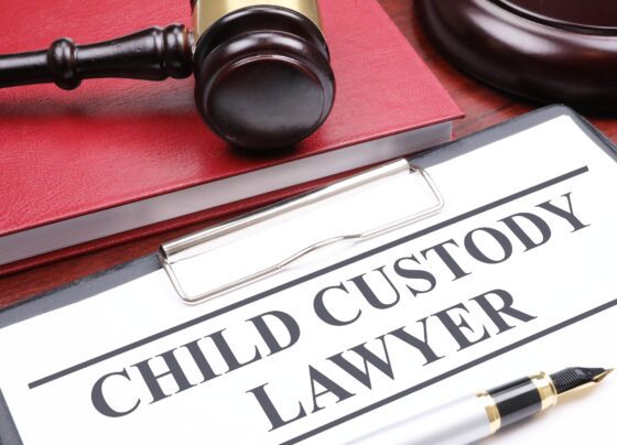 Custody Lawyer: 7 Important Facts You Must Know