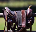 How to Buy a Horse Saddle Deals Online